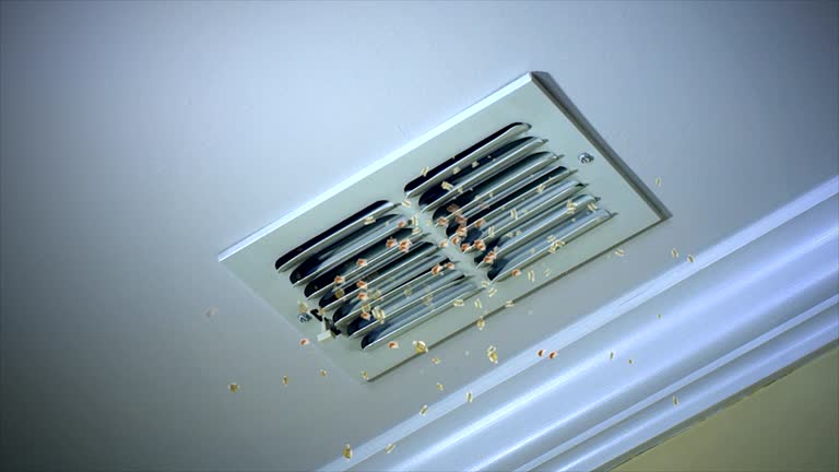 Best Affordable Air Duct Cleaning  in Fairbury, NE