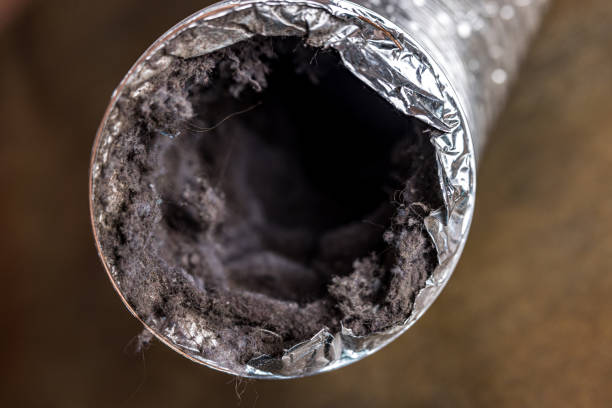 Best Local Air Duct Cleaning Services  in Fairbury, NE